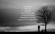 开云体育APP下载-那一刻，巴雷拉定义了A组的唯一答案—2026世界杯哥伦比亚VS罗马尼亚的宿命战