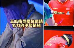 开云体育在线-法国乒乓球队鏖战比利时乒乓球队，王皓送出助攻的简单介绍