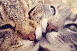 开云体育入口-我来为你写一篇唯一性的文章