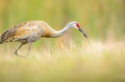 开云体育在线-银色飓风横扫赛道，周冠宇独擎一面旗