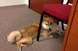 开云体育登录-一位球员决定历史的傍晚，蒂亚戈如何用五分钟重写比赛方程式