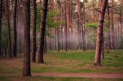 开云体育中国-广厦赢在当下，拉文为奥运蓄力—中国篮球的此刻与远方