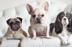 开云体育登录-绿茵无疆，当巴斯克雄狮鏖战波斯铁骑，孙兴慜成为东西方足球的共舞者