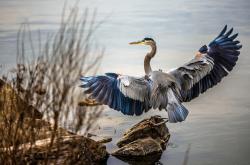 开云体育平台APP-青绿对决，魔术翻盘背后的利拉德时间哲学