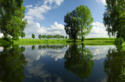 开云体育APP下载-一剑封喉！迪亚斯禁区魔术，委内瑞拉轻取新西兰