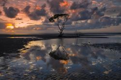 开云体育登录-体育世界的平行奇迹，伊拉克加时绝杀与F1年度争冠的终极对决