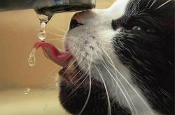 开云体育入口-我们为何总是错过真正的足球？当哈弗茨爆发与苏格兰击溃米兰的隐形逻辑