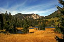 开云体育官网-硝烟味是绿色的，当篮球场化身诺坎普之夜