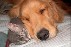 开云体育中国-钢铁风暴！法比尼奥生涯之夜引爆全场，马德里竞技完美战术碾压马赛