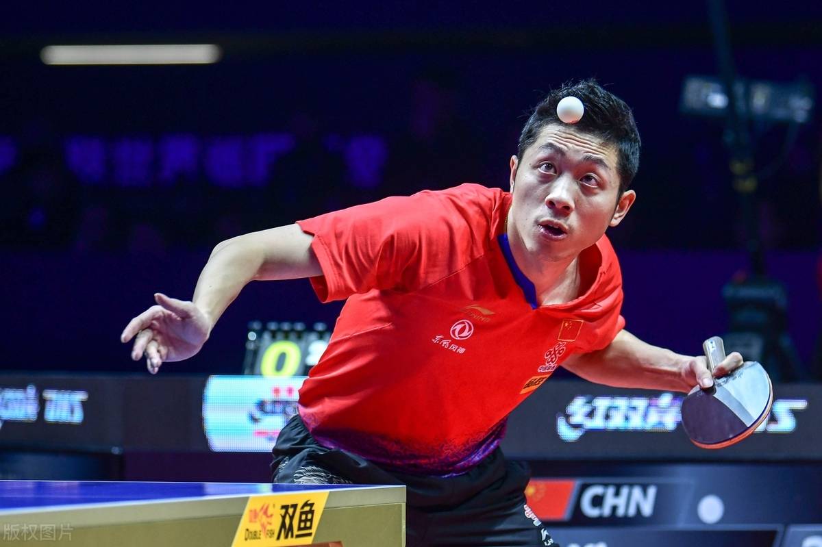波兰乒乓球队完胜德国乒乓球队，许昕高光表现的简单介绍