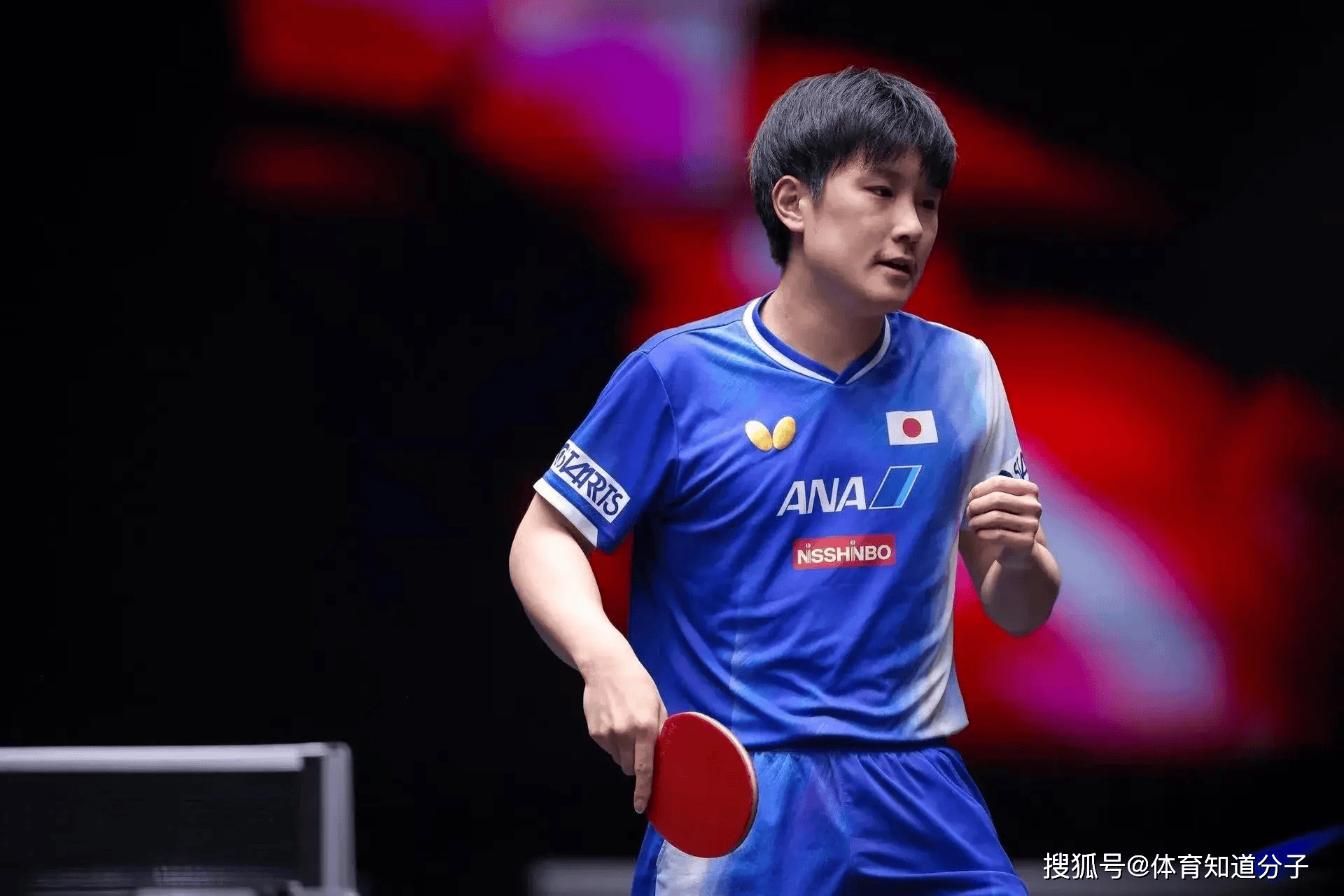 关于法国乒乓球队碾压德国乒乓球队，张本智和打破历史纪录的信息