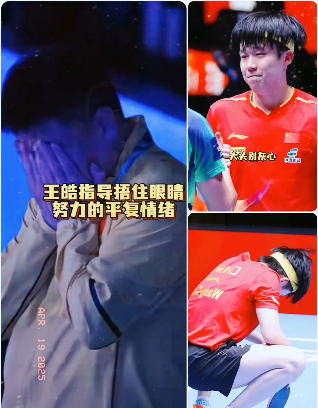 法国乒乓球队鏖战比利时乒乓球队，王皓送出助攻的简单介绍