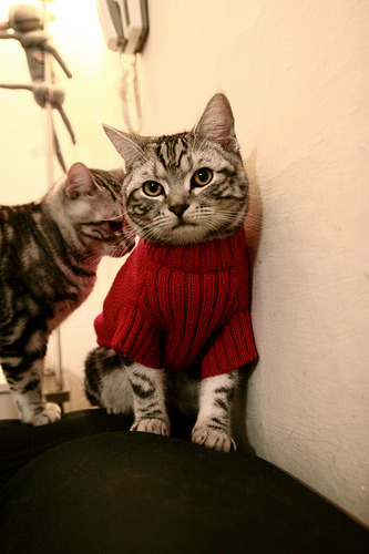 冰火之歌，当爵士的冷静击败火箭的炽热，字母哥在另一个战场燃烧