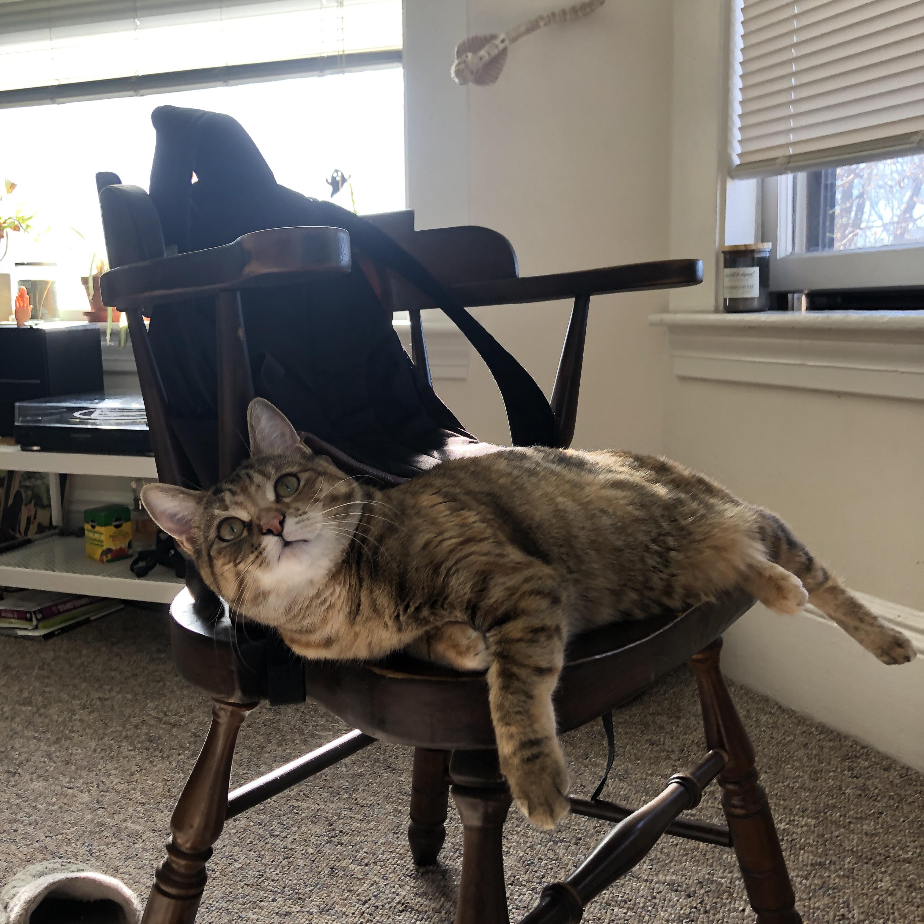 绿茵场与硬木地板的共鸣，当英超争冠夜遇上利拉德时刻