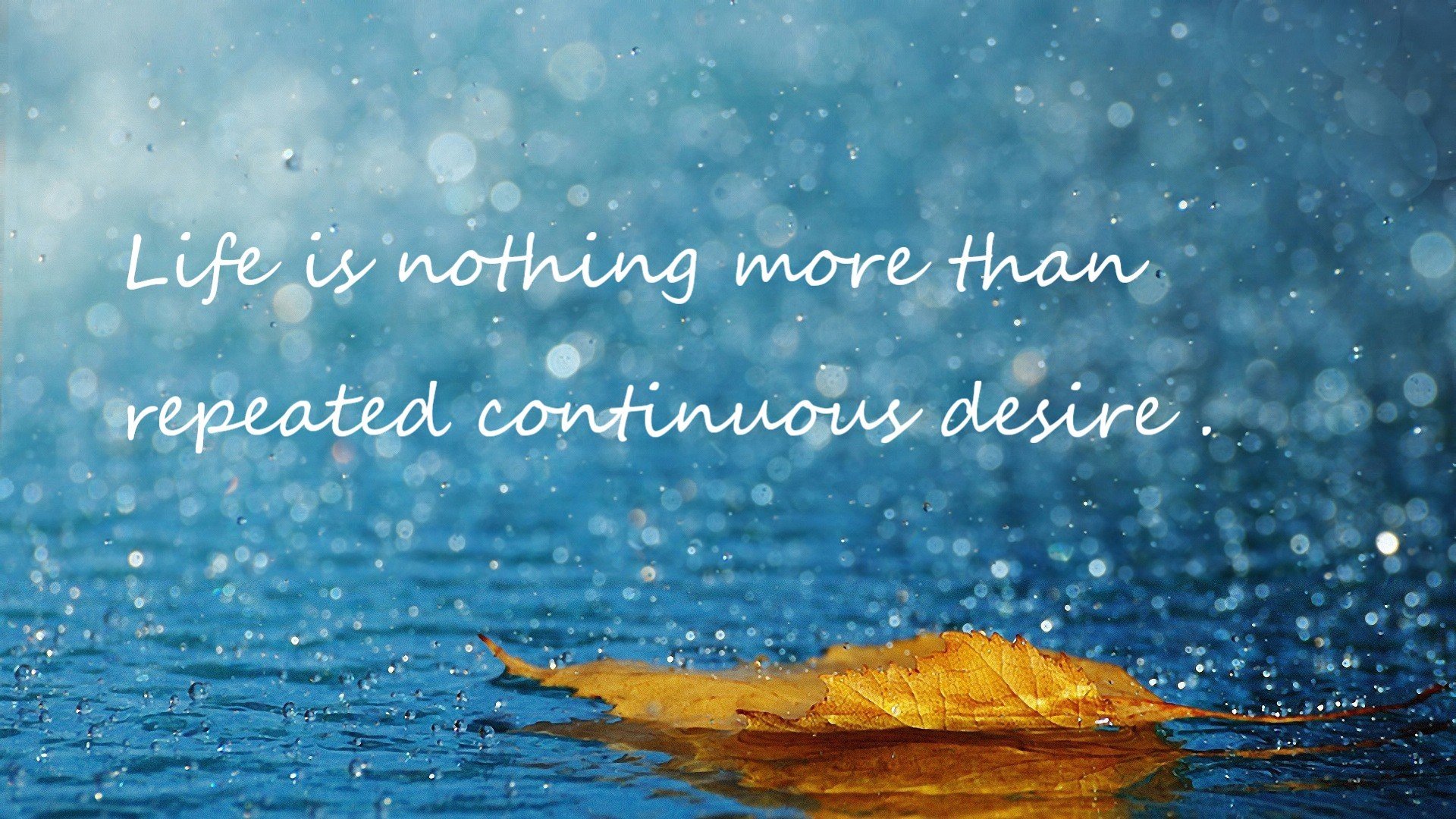 铁血与獠牙,当伊拉克的集体意志咬碎了苏亚雷斯的个人英雄主义