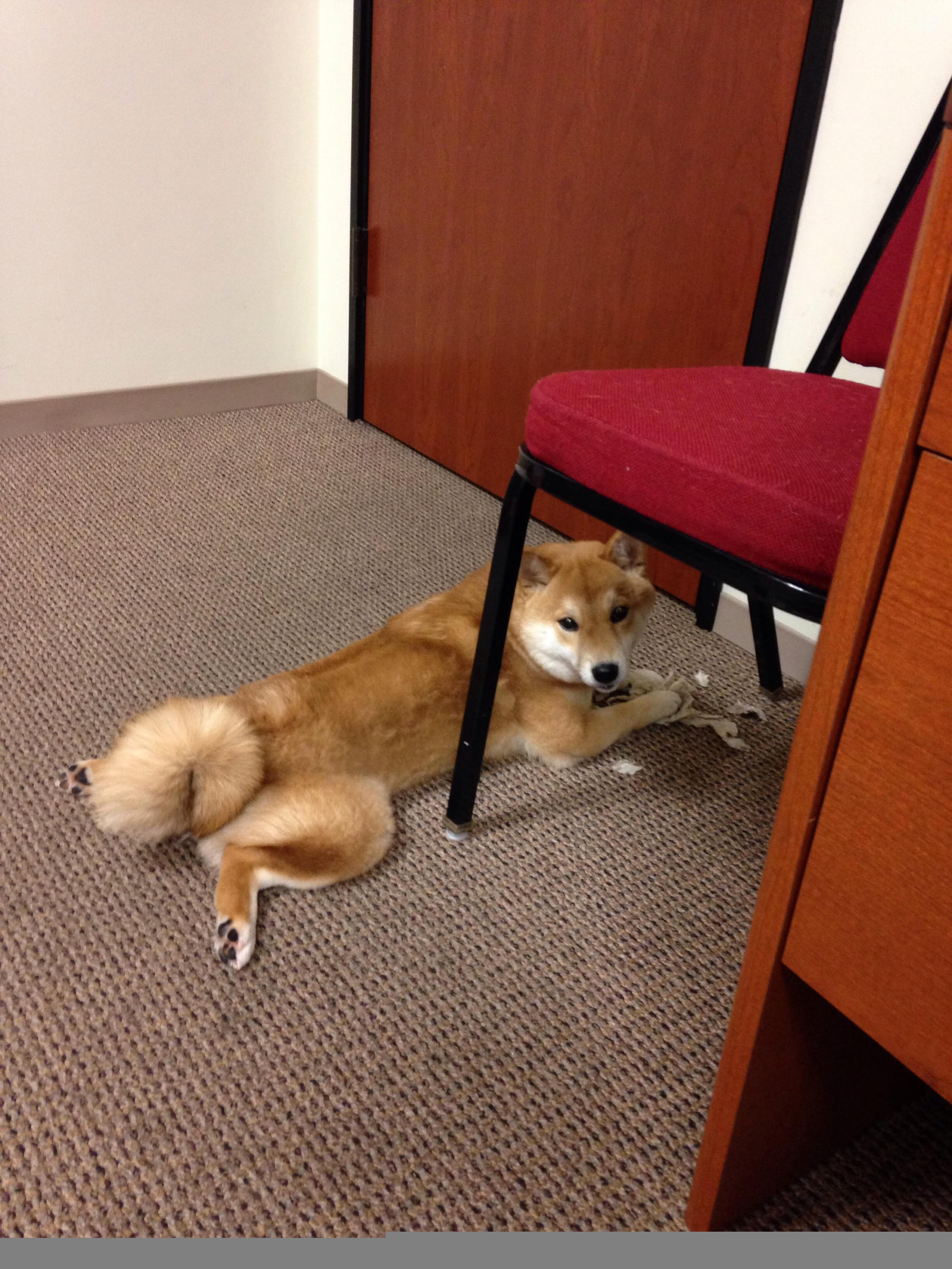 一位球员决定历史的傍晚，蒂亚戈如何用五分钟重写比赛方程式