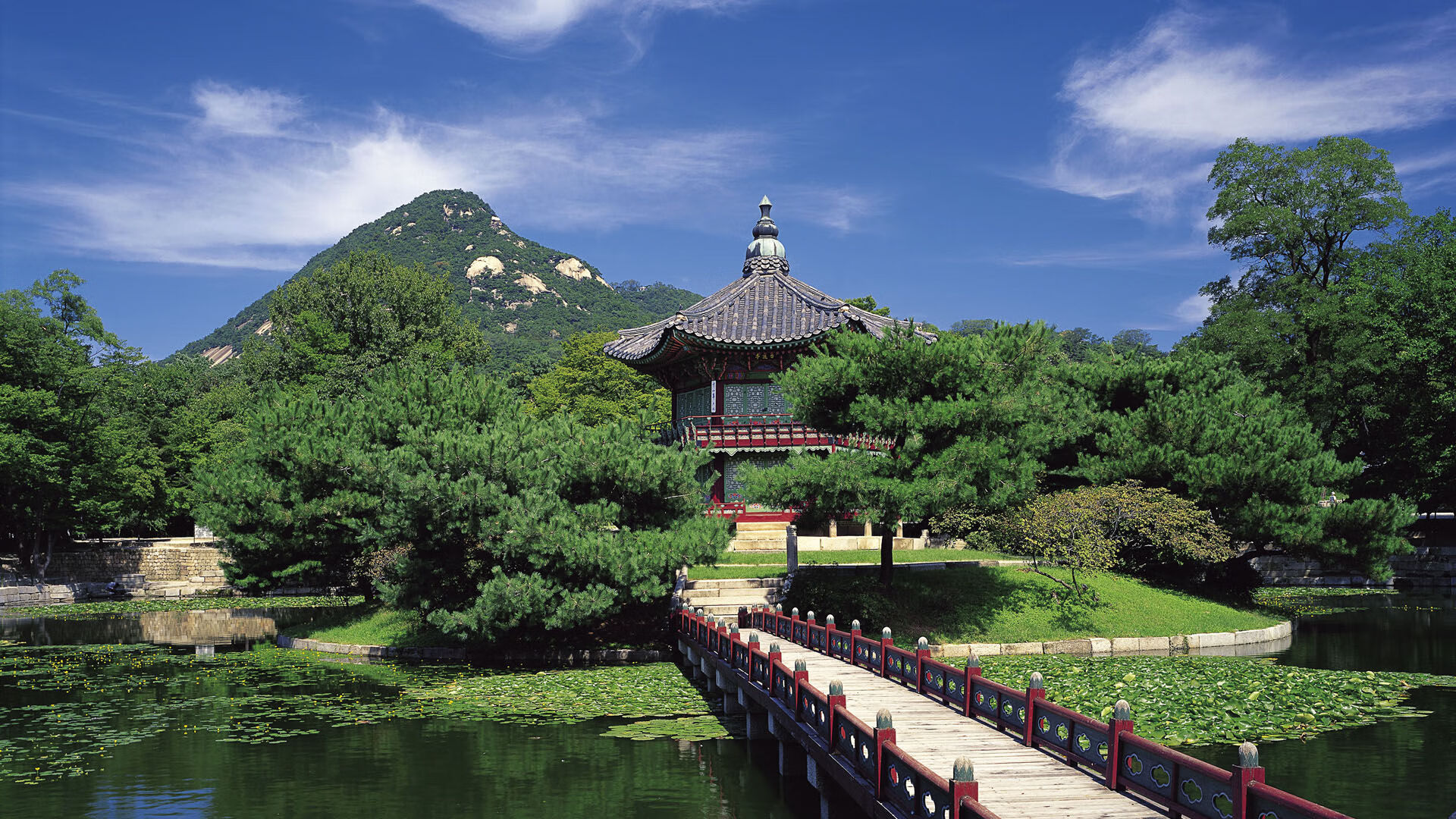 绿茵与硬木的共鸣,意甲焦点战启示吉林队轻取骑士的胜利密码