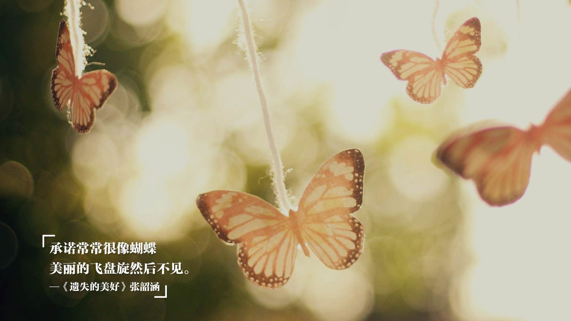 寒冷与热血的交响诗，挪威铁律如何冰封红军烈焰