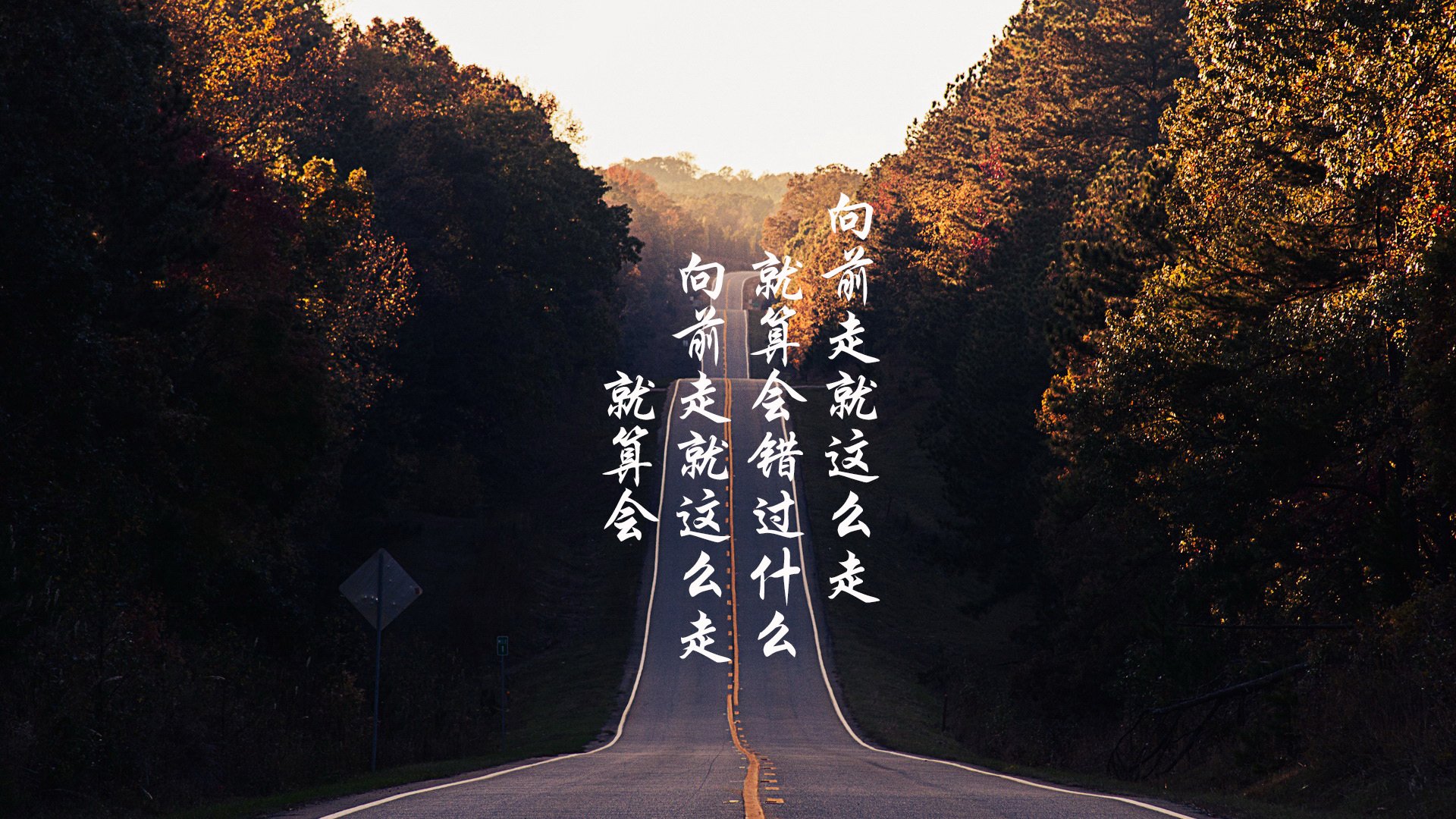 绿茵场上的独舞,2026世界杯B组焦点战,厄瓜多尔碾压波兰,萨卡主宰命运