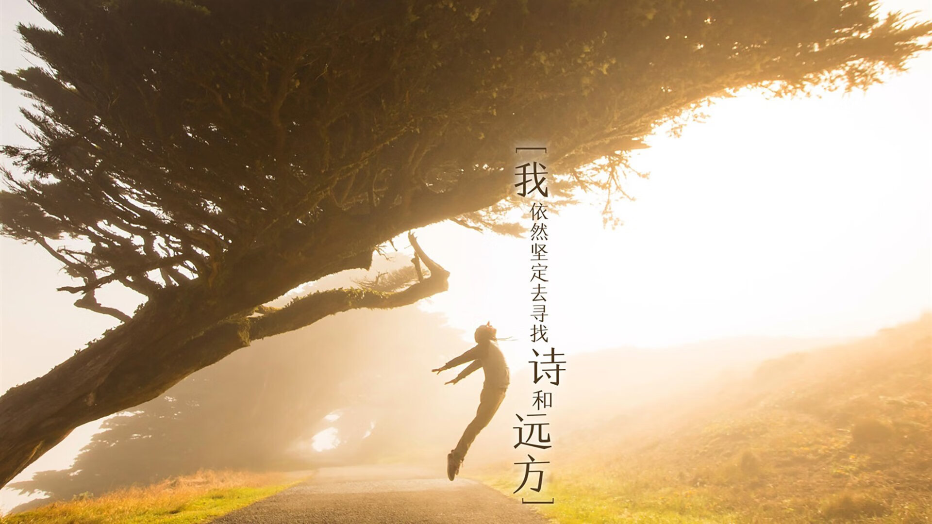 沙漠与蓝天之间的决斗，2026世界杯决赛，伊拉克对阵乌拉圭，萨内打破命运的枷锁