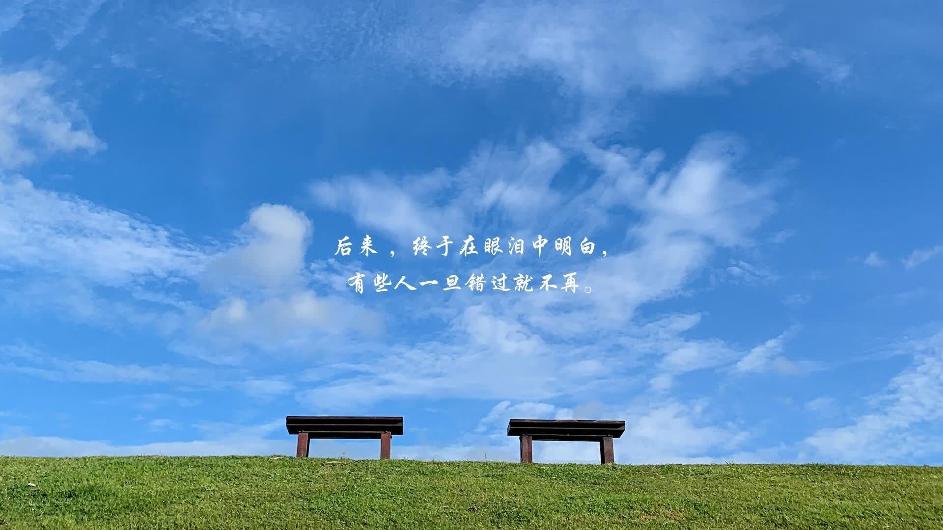 卡塔尔的救赎,当波斯铁骑碾过星条旗,塔雷米为2026世界杯写下最震撼注脚