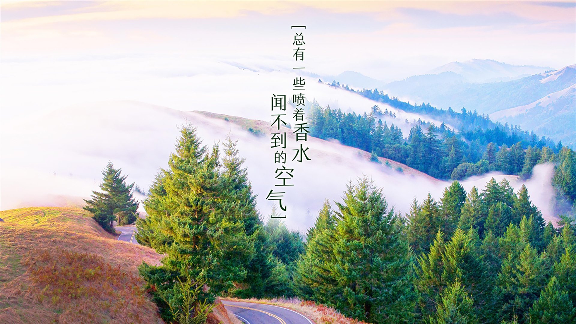 红魔之魂,当德布劳内的最后一传撕裂暹罗之墙—比利时绝杀泰国,哈兰德用帽子戏法独舞F组死亡对决